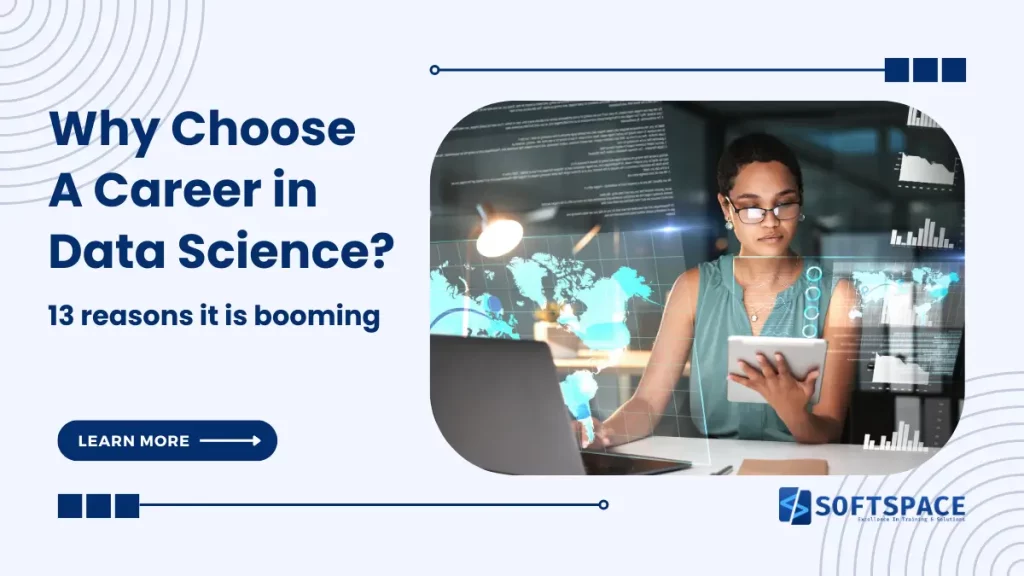 why choose a career in data science in 2024?