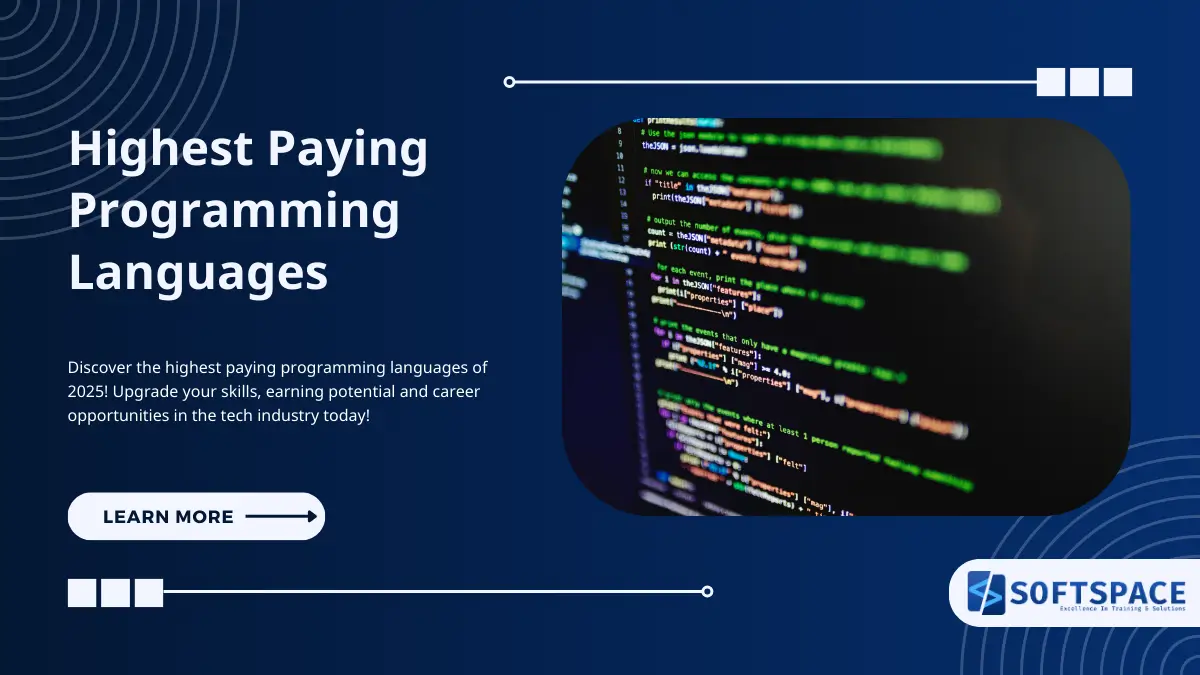 Highest paying programming languages of 2025