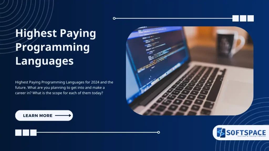 highest paying programming languages in 2024 and beyond